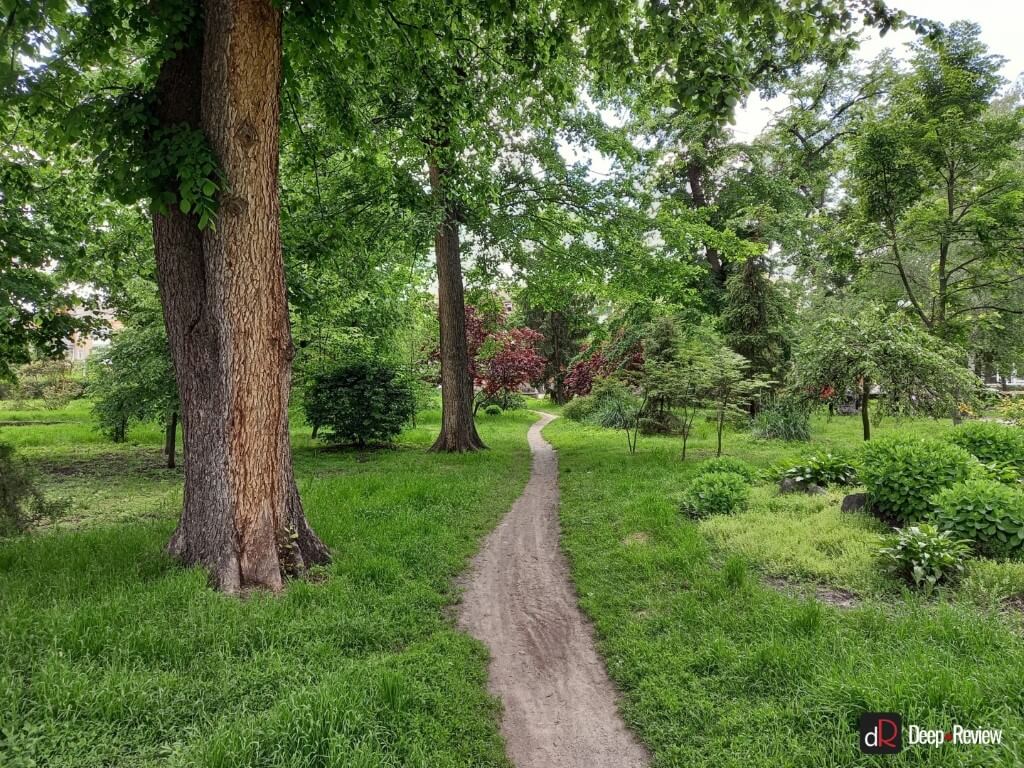 пример снимка на камеру galaxy a31